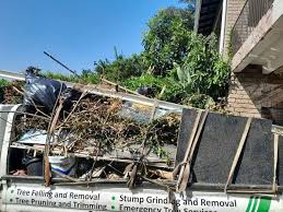 Shed Removal in Searles Valley, CA